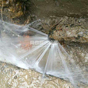 南漳自来水管道漏点检测